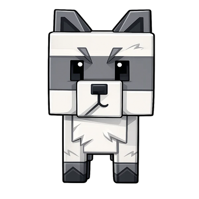 Raccoon