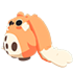 NFR Cabbit
