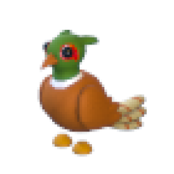 NFR Brown-Chested Pheasant