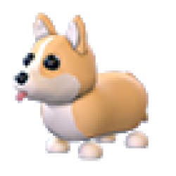 MFR Corgi