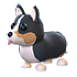 NFR Royal Corgi