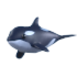 MFR Orca