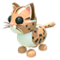 MFR Leopard Cat