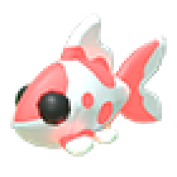 NFR Koi Carp