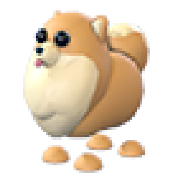 NFR Pomeranian