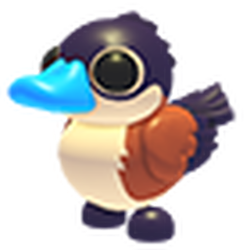 Ruddy Duck