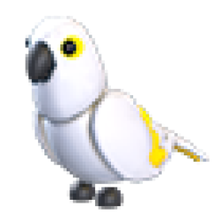 MFR White Amazon