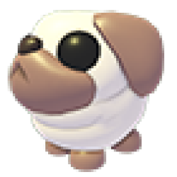 Snowball Pug