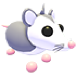 NFR Possum