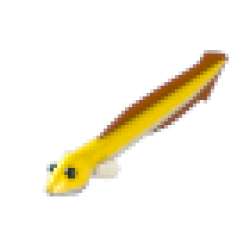 MFR Eel