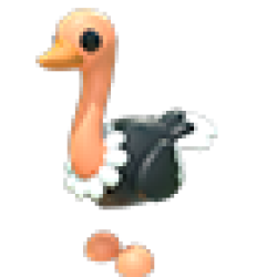 MFR Ostrich
