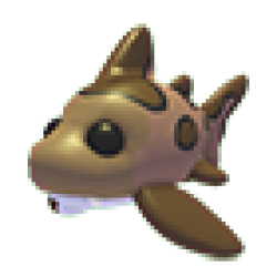 MFR Leopard Shark