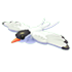 MFR Arctic Tern