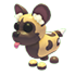 NFR African Wild Dog