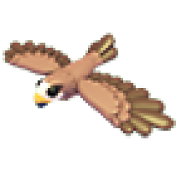 Black Kite