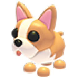 NFR French Bulldog