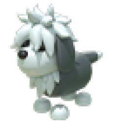 NFR English Sheepdog