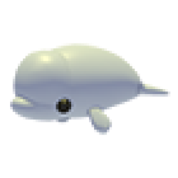 MFR Beluga Whale