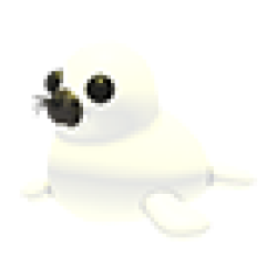 Harp Seal