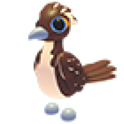 NFR Roadrunner