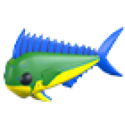 MFR Mahi Mahi
