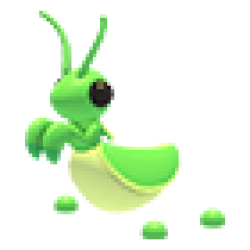NFR Praying Mantis