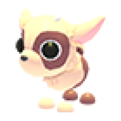 Kid Goat