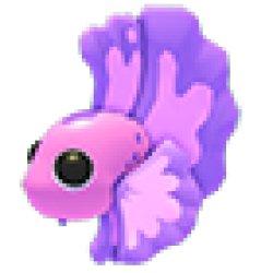 NFR Pink Betta Fish