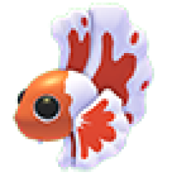 MFR Orange Betta Fish