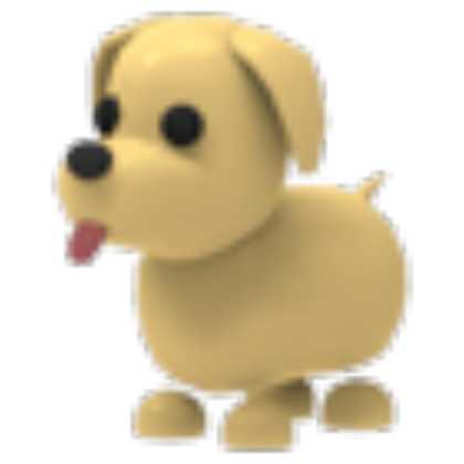 NFR Dog
