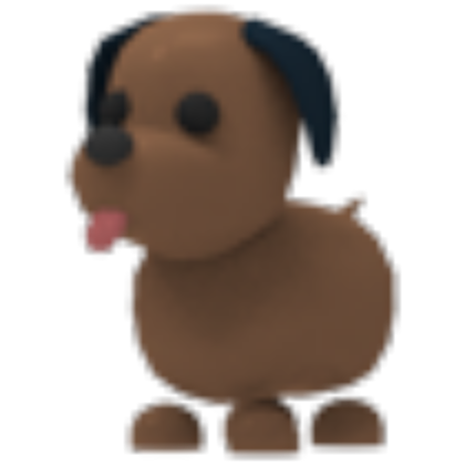 MFR Chocolate Labrador