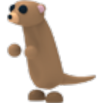 Meerkat