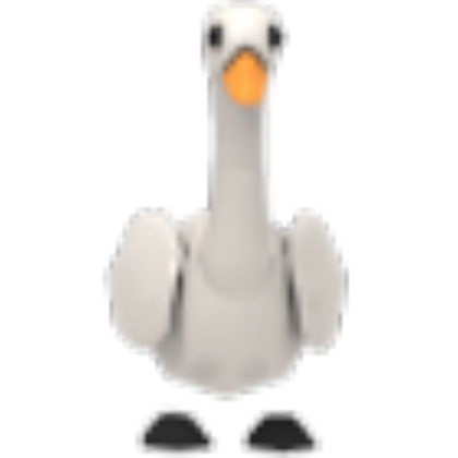 NFR Swan