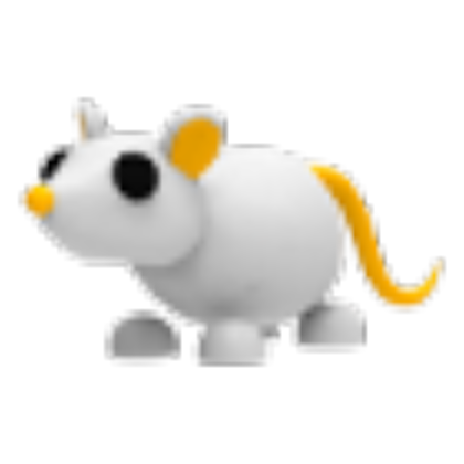 NFR Golden Rat