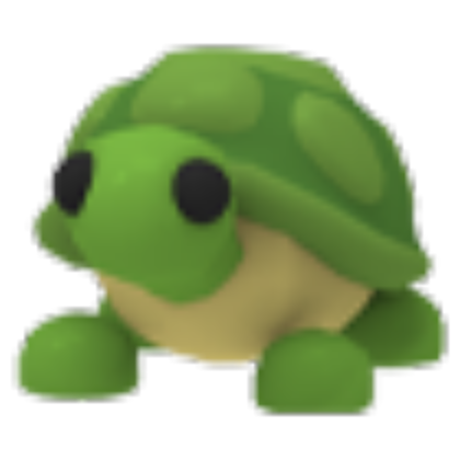 MFR Turtle