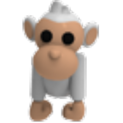 Albino Monkey