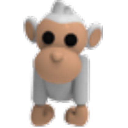 Albino Monkey