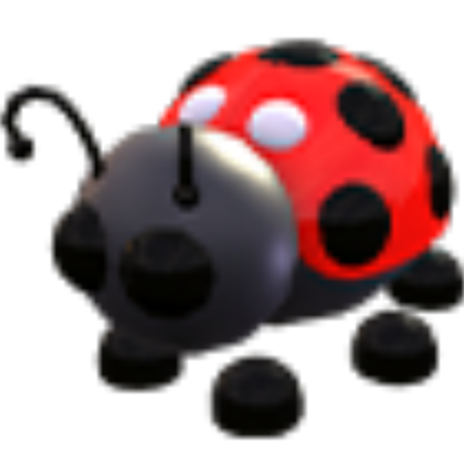 MFR Ladybug
