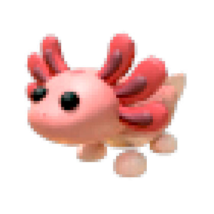 Axolotl
