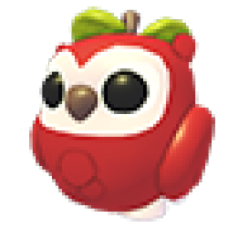 NFR Apple Owl
