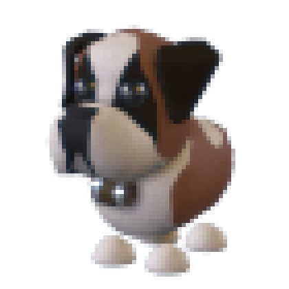 MFR St Bernard