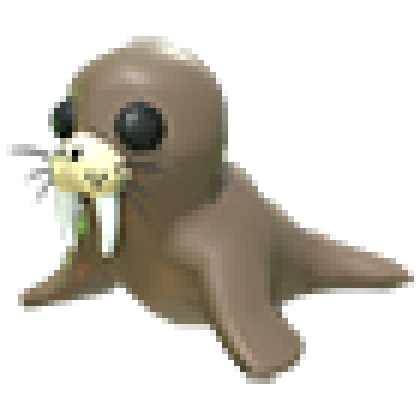 Walrus