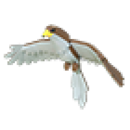 NFR Hawk