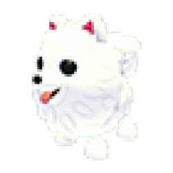 Samoyed