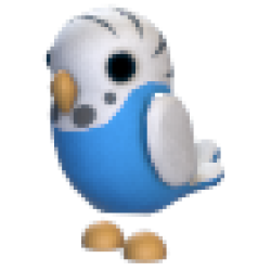 MFR Parakeet