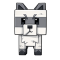 Raccoon