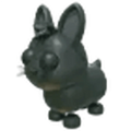 Amami Rabbit