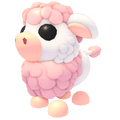 Angus Cow