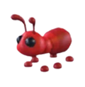 Ant