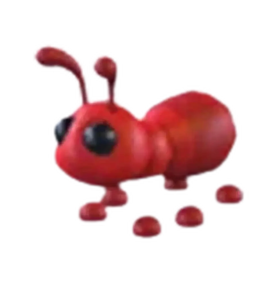 Ant